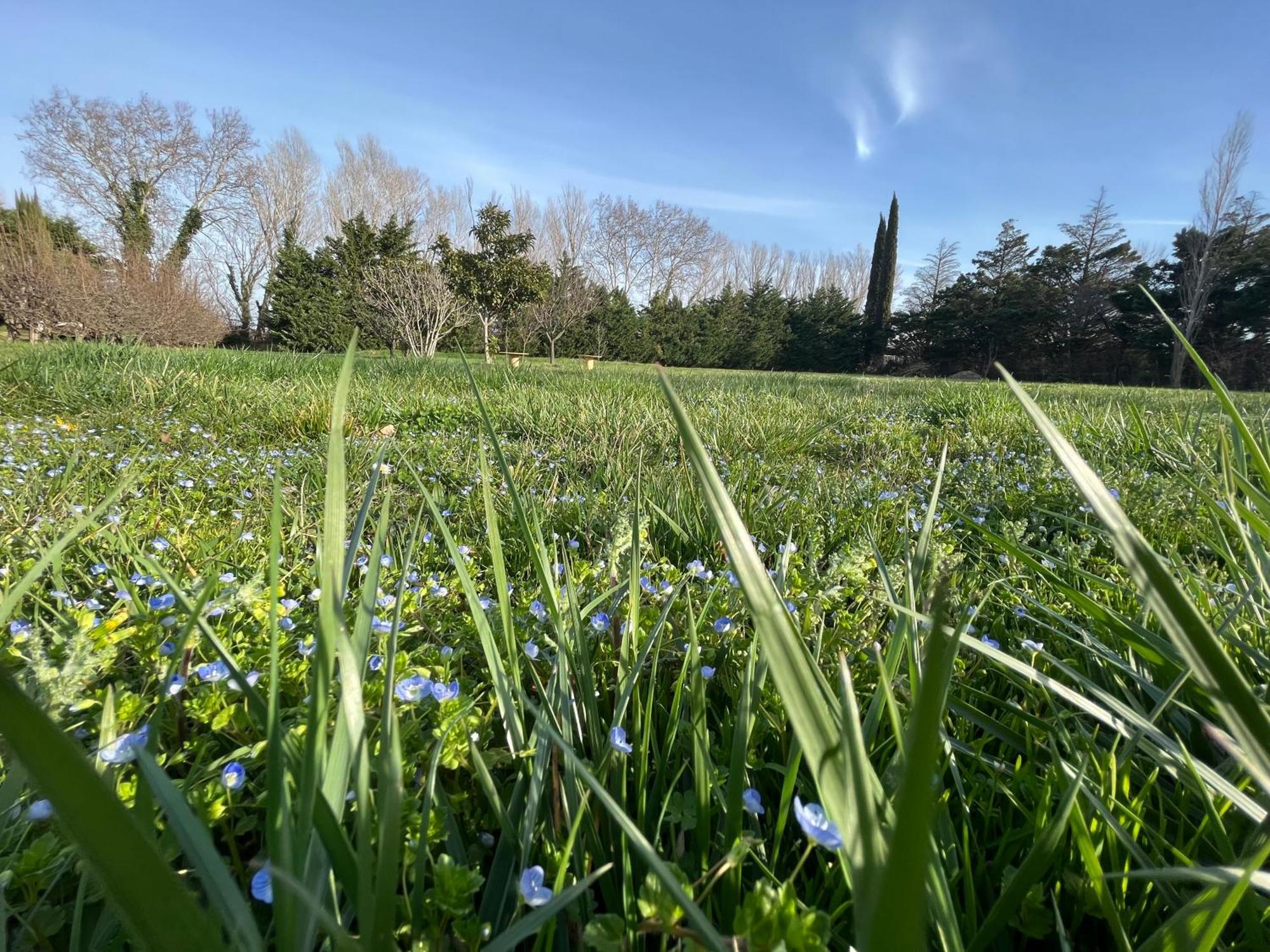 Appartement Les Jardins Du Soleil