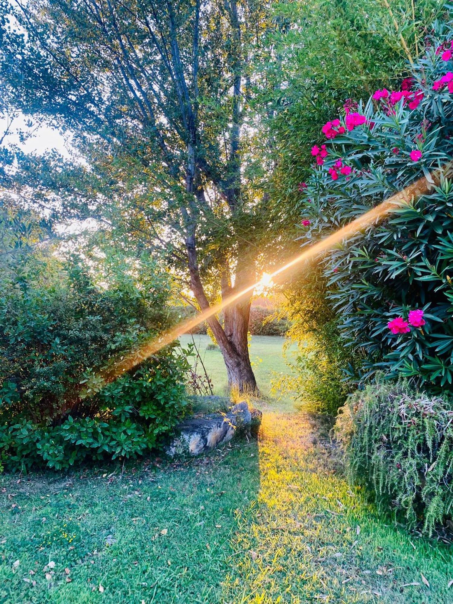 Les Jardins Du Soleil *